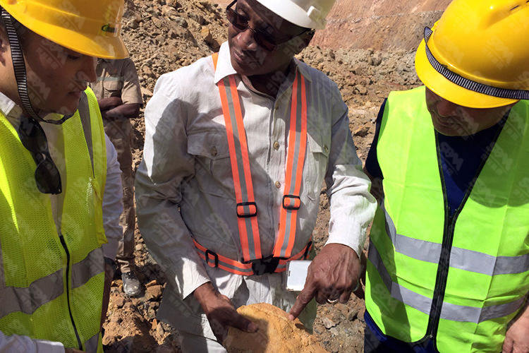 西非日产2000吨金矿氰化线